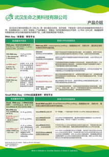 生命之美公司P1技術(shù)服務(wù) 以RNA為核心的高通量測(cè)序與深度功能挖掘