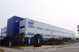 機(jī)器視覺(jué)與工業(yè)機(jī)器人在智能制造中的應(yīng)用——維視智造技術(shù)服務(wù)探索